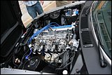 IMG_9199.JPG