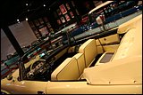 IMG_9823.JPG