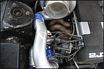 IMG_3764.JPG