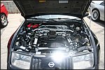 IMG_3847.JPG